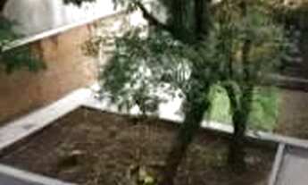 Imagem 3: São Paulo - Terreno Padrão - Tatuapé