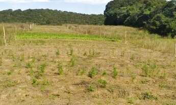 Imagem 2: Crie seu Próprio Espaço em Cotia: Terreno Disponível para Venda!