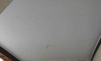 Imagem 5: Forro pvc 40 Casa com 1 dormitório