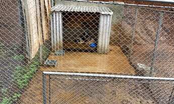 Imagem 3: Aluguel Casa Sítio c/ Piscina - Água Branca