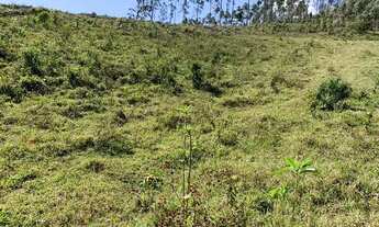 Imagem 2: Vende-se terreno com ótimo acesso