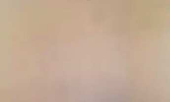 Imagem 2: Alugo ap em Coelho Neto