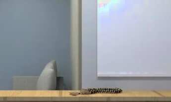 Imagem 2: COBERTURA - VILA ALICE - SP