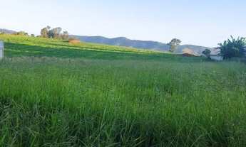 Imagem 5: Terreno para chácara