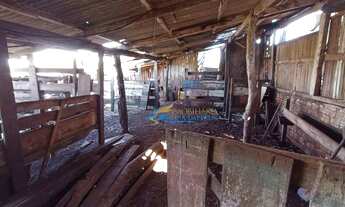 Imagem 5: Sítio à venda, 5 m² por R$ 2.000.000 - Coqueiral - Cascavel/PR