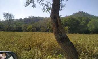 Imagem 5: FAZENDA 40 ALQUEIRES MUNICÍPIO DE PIRES DO RIO, RICA EM ÁGUA, PRÓX A SÃO MIGUEL DO PASSO Q