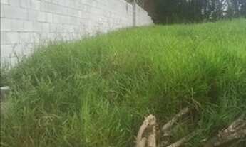 Imagem 2: Impermeável! Terreno por R$ 47 mil reais. Aceito Carro de menor valor