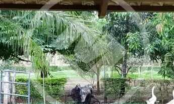 Imagem 3: Sitio Recanto das Aroeiras codigo: 96430