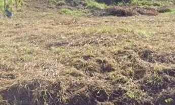 Imagem 4: Terreno à venda - 1.875 m² - 5 min do centro de Trajano de Moraes (RJ