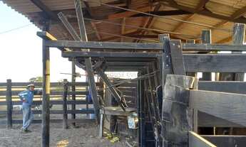 Imagem 6: Fazenda com 517 hectares na região entre a cidade de Nossa Senhora do Livramento