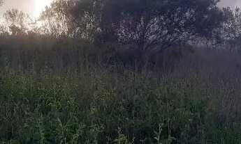 Imagem 3: Chácara 10 mil metros quadrados