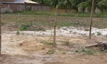 Imagem 2: Lote/Terreno para venda possui 1880 metros quadrados em Tatuamunha - Porto de Pedras - AL