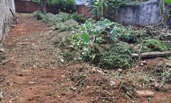 Imagem 2: Lote na cidade Vera Cruz