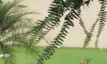 Imagem 3: Casa de temporada Aruana-Go