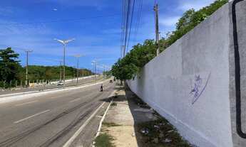 Imagem 4: Terreno com 48.000m² na Avenida Maestro Lisboa