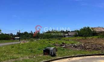 Imagem 4: Terreno no Paradis