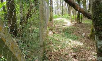 Imagem 6: TERRENO SÃO JOSÉ DOS PINHAIS