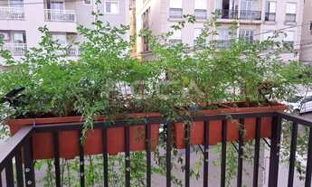 Imagem 3: Apartamentos à venda no Bairro Jardim Botânico em Ribeirão Preto!