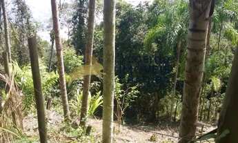Imagem 6: Terreno de 700 metros com vista mar na Estrada da Almada em Ubatuba, SP