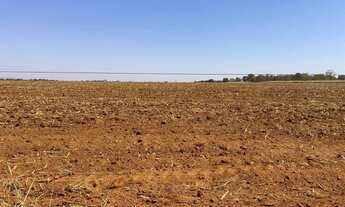 Imagem 5: Fazenda arrendamento 1.050 hec em montes claros Goiás