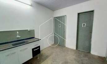 Imagem 4: Comercial GalpãoBarracão em Marília