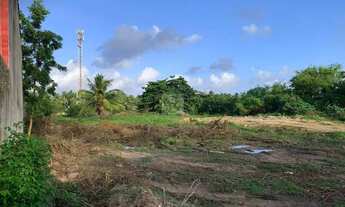 Imagem 4: Excelente terreno para abri o seu negócio