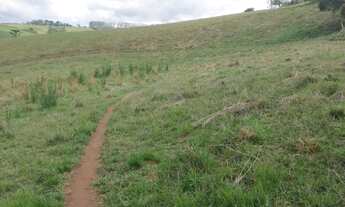 Imagem 7: Oportunidade no Sul de Minas - Sítio em Ipuiuna - 2,5 alqueires