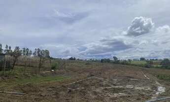 Imagem: Vendo chácara no Incra (Texas