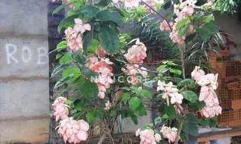 Imagem 3: Casa em Rua Maura Carvalho - Morada Nova - Uberlândia/MG