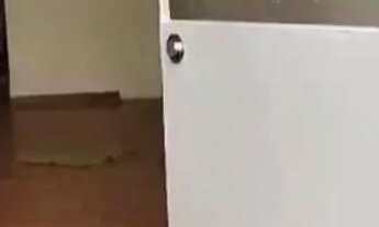 Imagem 7: Ótima casa localizada no Olavo bilac