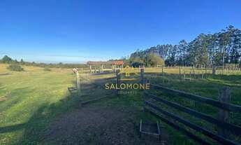 Imagem 5: Salomone vende Lindo Sítio de 13 hectares com açude