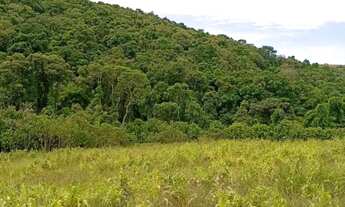 Imagem 2: Antecipe-se ao mercado e invista com vantagem em Ibiúna