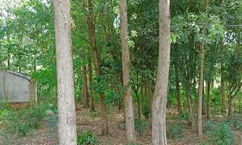 Imagem 6: Chácara em diamante do oeste