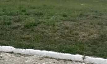 Imagem 4: Lote à venda no PRAIAS DO SUL III , MOSQUEIRO, Aracaju, SE