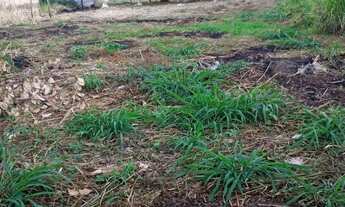 Imagem 3: TERRENOS PARCELADOS