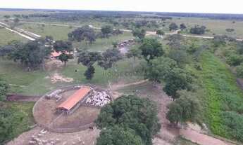 Imagem 5: FAZENDA À VENDA PANTANAL MATO-GROSSENSE