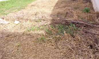 Imagem 3: Vende se terreno na Vila Dos Eucaliptos