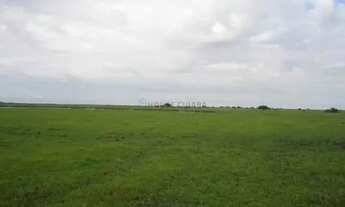 Imagem 2: FAZENDA À VENDA PANTANAL MATO-GROSSENSE