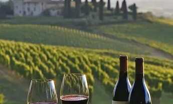 Imagem 5: Investimento certo em São Roque: natureza, vista e valorização garantida