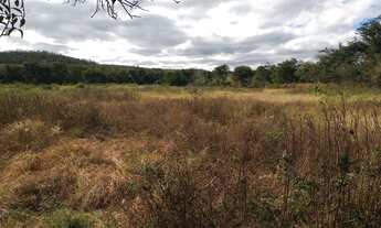 Imagem 3: Fazenda Para vc Que Tem Vocação com Pecuária