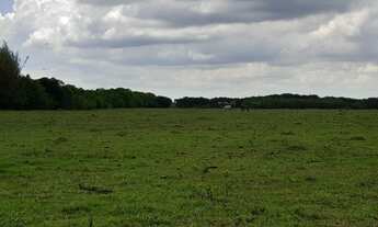 Imagem 4: Fazenda de 90 alqueires em Flexeiras (Quissamã)