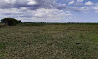 Imagem 5: Fazenda de 90 alqueires em Flexeiras (Quissamã)