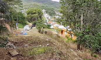Imagem 6: Lote/Terreno para venda com 1573 metros quadrados em Itacorubi - Florianópolis - SC