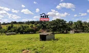 Imagem 3: Chácara 7.74 alqueires ( 37.5 hectares ) Bela Vista de Goiás - GO