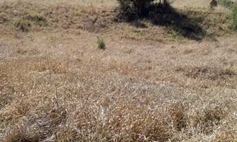 Imagem 7: Sítio 08 Hectares Arantina - Sítio da Varzea 30 hectares