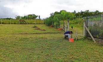 Imagem 4: Excelente Chacara com 1,000 m2 em Campo Largo da Roseira valor 185,000