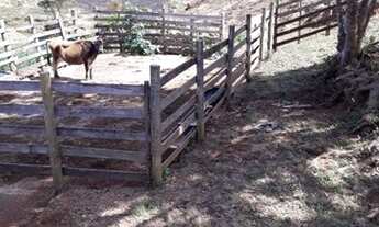 Imagem 6: Sítio 11 Hectares Liberdade - Sítio Bom Jardim 23 Hectares