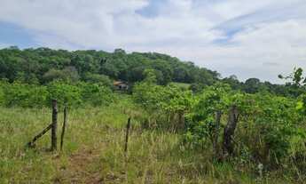 Imagem 6: Chácara 31 ha terra de lavoura, Terenos MS