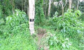 Imagem 5: Lotes exclusivos no Cônego - Lote 15