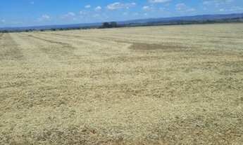 Imagem 5: Fazenda em lagamar 280 hectares 16.000.000.00